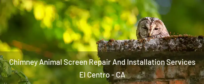  Chimney Animal Screen Repair And Installation Services El Centro - CA