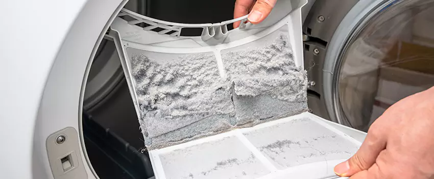 Best Dryer Lint Removal Company in El Centro, California